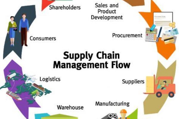 SUPPLY CHAIN MANAGEMENT AND LOGISICS STRATEGIES PROFESSIONAL