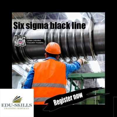 Six sigma black  line